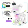 Dog-E Cane robot interattivo
